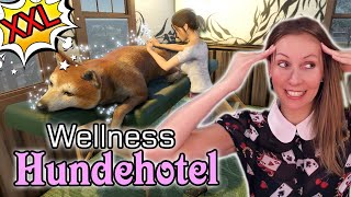 PETS HOTEL 🐶 10 TAGE in meinem HUNDEHOTEL 🏠 Pets Hotel deutsch screenshot 5