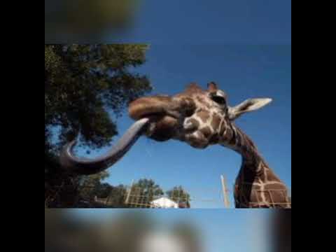 ۲ ژوئیه ۲۰۲۲