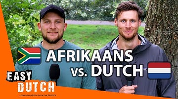 How Similar Are Afrikaans and Dutch? | Easy Dutch Special 4