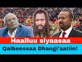 Haalluu Siyaasaa Tooftaa Qoqqoodanii Bituu Garboonfataa Haalluu Siyaasaa Tooftaa Qoqqoodanii Bituu Garboonfataa