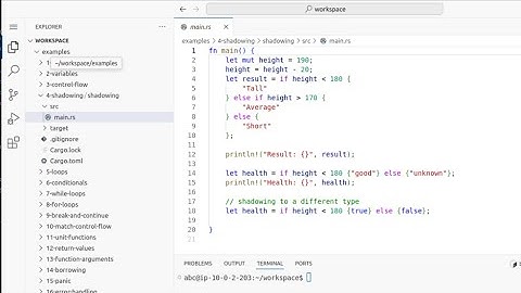 Live Demo of Rust Interactive Labs on Pragmatic AI Labs