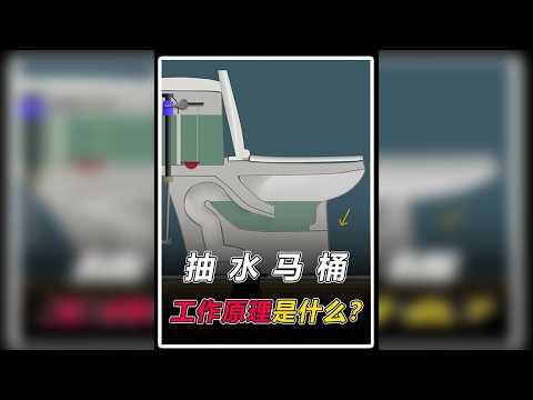 马桶的演化历史，和各种类型马桶的工作原理