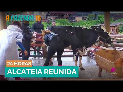 The Pack unites to help Giovanna take care of Jasmine the cow | A Fazenda 18