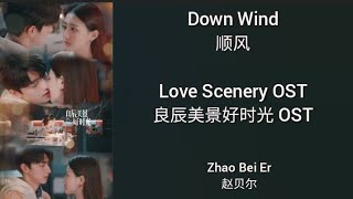 Love Scenery 良辰美景好时光 OST (LYRIC/ENG/INDO/JPN) | Down Wind ( 顺风 )