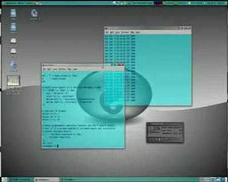 Compiz Fusion on Ubuntu 7.10 - Feature Demo