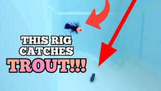 Fly Fishing With A Spinning Rod  The Drop Shot Fly Rig (You'll Catch Tons of TROUT!!!)