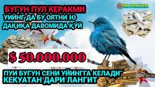 :  5  ,    -