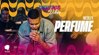 Duduzinho Vibes - Medley PERFUME Pagovibes - Do funk ao pagode