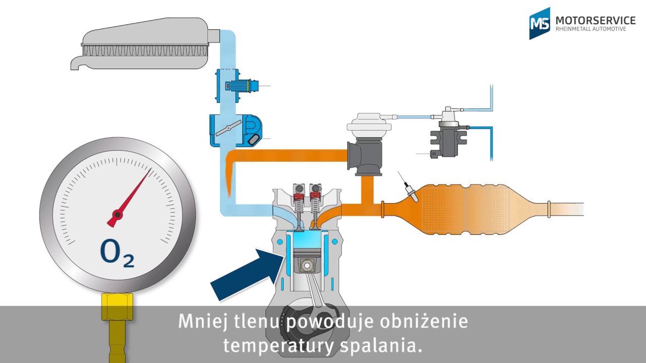 Błąd P0401 Układ Recyrkulacji Spalin: Wykryty Niewystarczający Przepływ. Jak Sobie Poradzić Z Błędem?