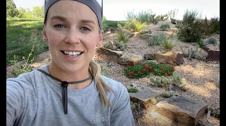 Waterwise Perennials for Late Summer