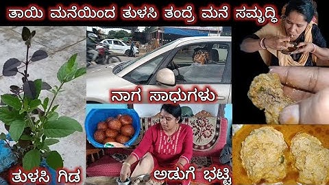 🥰ಹೆಣ್ಣು ಮಕ್ಕಳು ತಾಯಿ ಮನೆಯಿಂದ ತುಳಸಿ ಗಿಡ ತಂದು ನೆಟ್ಟು ಬೆಳಿಸಿದ್ರೆ ಆ ಮನೆ ಸುಖ,ಸಂತೋಷ,ನೆಮ್ಮದಿಯಿಂದ ಕೂಡಿರುತ್ತೆ🙏
