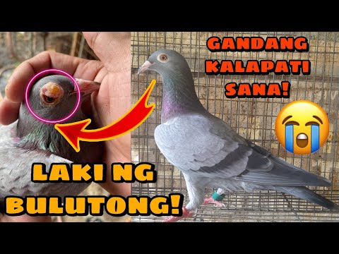 Video: Ano ang nangyari sa kulay ng Bromothymol blue solution?