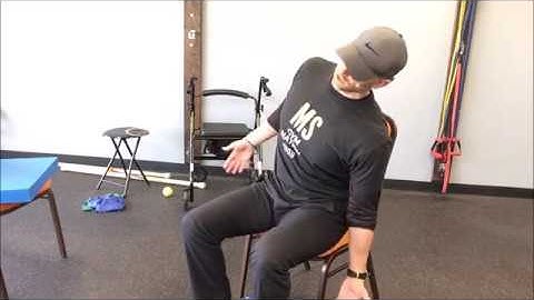 CHAIR CORE STRENGTH - Low Back & Pelvic Mobility