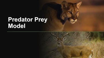 Public Transport - Predator prey Model Presentation Final