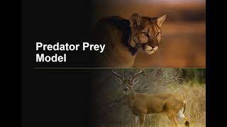 Public Transport - Predator prey Model Presentation Final