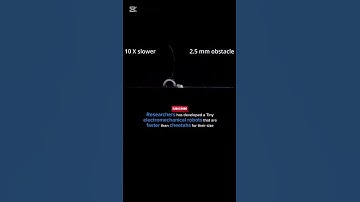 "Breaking Tech: Tiny Robots Faster Than Cheetahs for Their Size!"