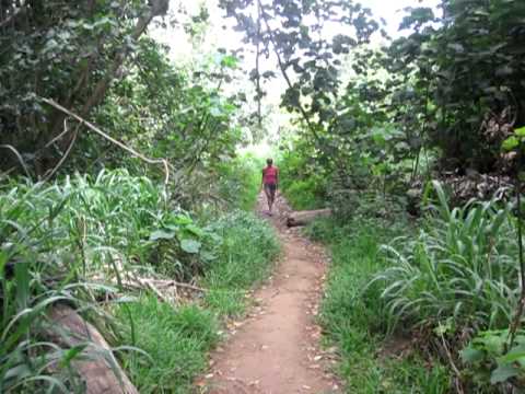 Still Hiking to Kauai's Secret Falls, April 30, 2012 (It's a Long Hike) - YouTube
