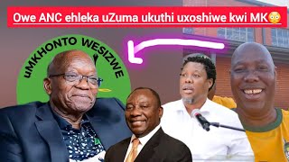 Ngeke ukholwe owe ANC ehleka uZuma ukuthi uxoshiwe kwi MK ethi akabuye ekhaya😳 [Zizwele]