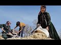 Digging for Fate: An Abandoned Nomadic Mother Got Vital Help from a Kind Operator