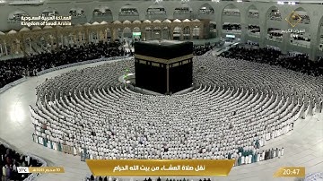 تلاوة من سورتي يونس و الإسراء | عشاء الجمعة 10-1-1445هـ للشيخ بندر بليلة