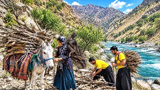 🔥 A nomadic family's struggle for survival in the Zagros: gathering firewood beside a raging river 🌊