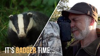 Badger Photography On A Summers Evening Photographing Badgers At A Huge Set..