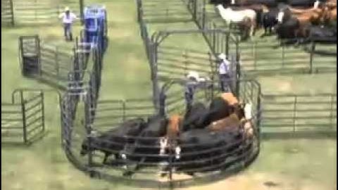 Premier Open Sweep System by Priefert