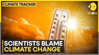 Asia endures searing heat this summer | Climate Change | WION Climate Tracker