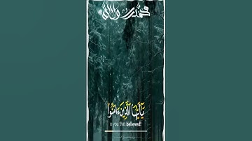 الشيخ سلطان عبدالله العمري- تلاوة مؤثرة