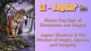 Jaguar Shadows and The Wisdom of Magick Mystery and Integrity Ix - Mayan Day Sign of Shamanism