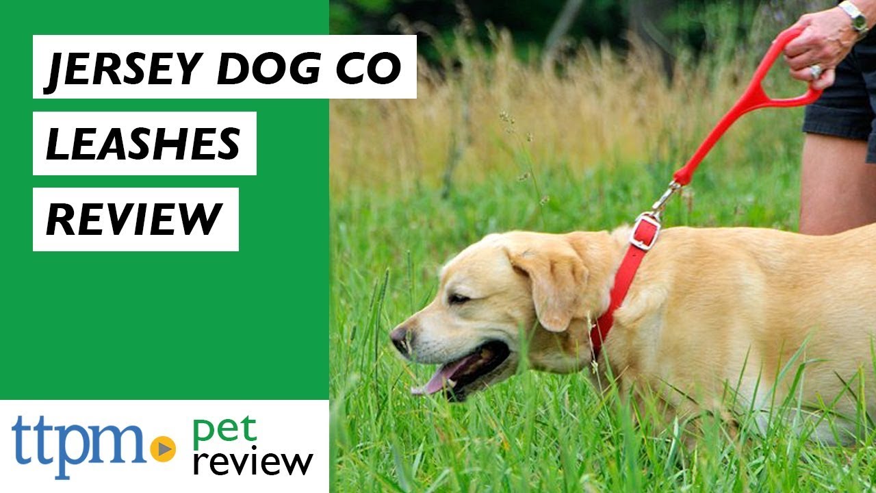 Jersey Dog Co. Leashes from Jersey Dog Co. YouTube