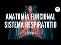 1. ANATOMÍA FUNCIONAL DEL SISTEMA RESPIRATORIO (FISIOLOGÍA DEL SISTEMA RESPIRATORIO)