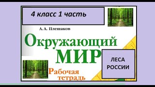 Окружающий мир 4 класс рабочая тетрадь страница 46-50. Леса России