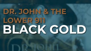 Dr. John &amp; The Lower 911 - Black Gold (Official Audio)