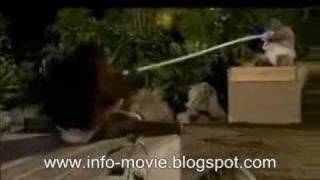 Amazing Fight Series - Sumo vs Orangutan