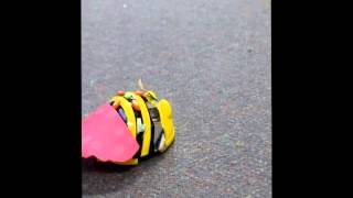 Beebots dance their way into 2S
