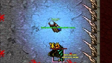 Tibia Gorgo, The Noxious Spawn and The Many bosses