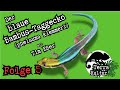 Terrakultur Podcast - Der blaue Bambus-Taggecko - mit Tim Eßer - Folge 5