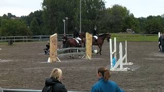Robert 100cm (klass 1) 120902