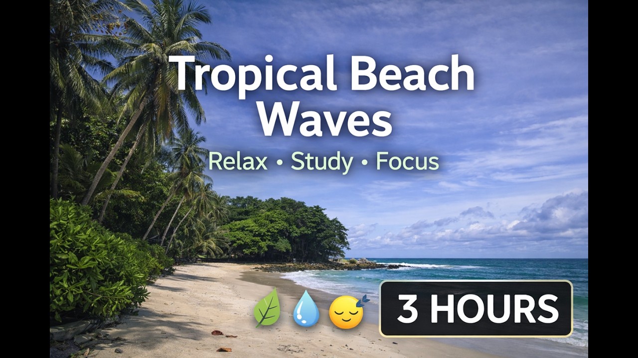 Tropical Beach Waves 🌴🌊 Soft Ocean, Light Breeze & Distant Birds (3 Hours)