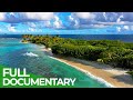 Saintvincentetles grenadines  paradis insulaire des carabes  nature documentaire gratuite