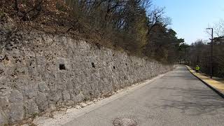 Covid-19 Travels- Budapest, Hungary- Normafa Park