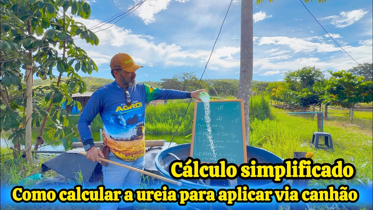 CALCULANDO A QUANTIDADE DE UREIA PRA APLICAR VIA FERTIRRIGAÇÃO COM CANHÃO AMERICANO 