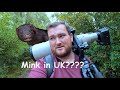 Wildlife Photography | Day out for photos | Finding a MINK??
