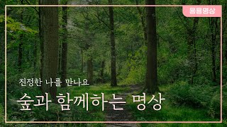 [응용명상]진정한 나를 만나요, 숲과 함께하는 명상