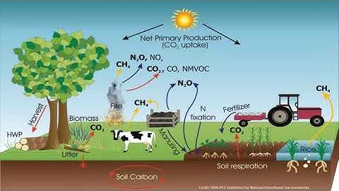 Making the Business Case for Regenerative Agriculture