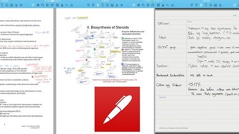 Noteshelf Review + Note-taking