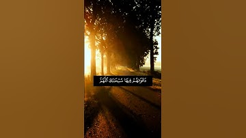 القارئ _ عبدالعزيز العسيري#قرآن #اكسبلور #المصحف #إستمع #لايك
