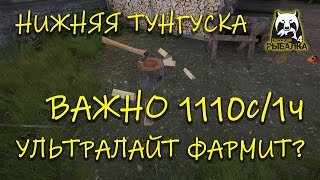 Русская рыбалка 4. рр4. Нижняя тунгуска. Фарм на ультралайт.