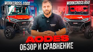 ОБЗОР И СРАВНЕНИЕ БАГГИ AODES: WORKCROSS 1000 и WORKCROSS 650